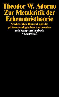 Zur Metakritik der Erkenntnistheorie