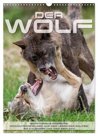 Emotionale Momente: Der Wolf. (Wandkalender 2025 DIN A3 hoch), CALVENDO Monatskalender
