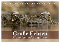 Große Echsen. Krokodile und Alligatoren (Tischkalender 2025 DIN A5 quer), CALVENDO Monatskalender