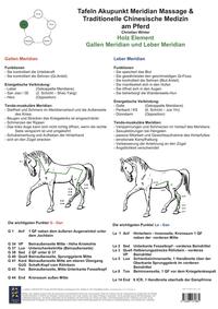 Holz Element. Gallen und Leber Meridian.