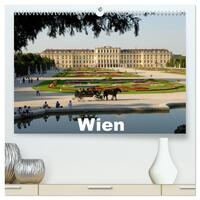 Wien (hochwertiger Premium Wandkalender 2025 DIN A2 quer), Kunstdruck in Hochglanz