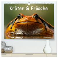 Kröten & Frösche (hochwertiger Premium Wandkalender 2026 DIN A2 quer), Kunstdruck in Hochglanz