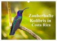Zauberhafte Kolibris in Costa Rica (Wandkalender 2025 DIN A3 quer), CALVENDO Monatskalender