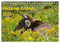 Glückliches Rindvieh 2025 (Tischkalender 2025 DIN A5 quer), CALVENDO Monatskalender