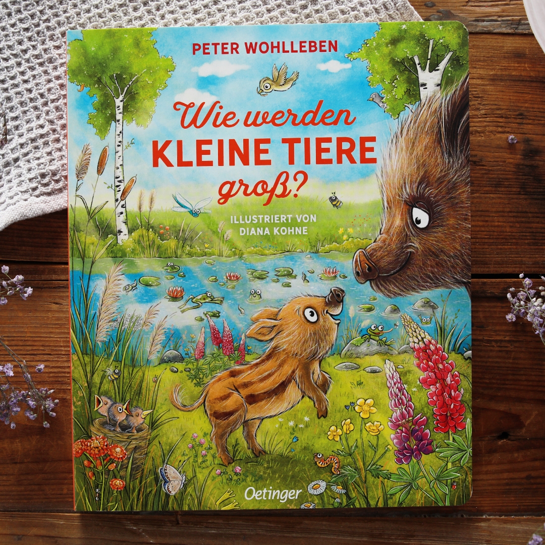 Wie werden kleine Tiere groß?