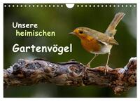 Unsere heimischen Gartenvögel (Wandkalender 2025 DIN A4 quer), CALVENDO Monatskalender