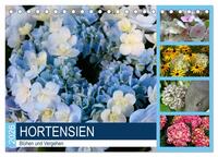Hortensien Blühen und Vergehen (Tischkalender 2026 DIN A5 quer), CALVENDO Monatskalender