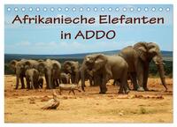 Vorderes Coverbild Afrikanische Elefanten in ADDO (Tischkalender 2025 DIN A5 quer), CALVENDO Monatskalender