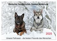 Vorderes Coverbild Schäferhund - Saarlos Wolfshund (Tischkalender 2025 DIN A5 quer), CALVENDO Monatskalender