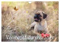 Vermopst durchs Jahr (Wandkalender 2026 DIN A4 quer), CALVENDO Monatskalender