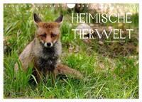 Vorderes Coverbild Heimische Tierwelt (Wandkalender 2025 DIN A4 quer), CALVENDO Monatskalender