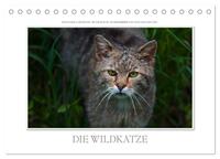 Emotionale Momente: Die Wildkatze. (Tischkalender 2025 DIN A5 quer), CALVENDO Monatskalender