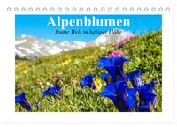 Alpenblumen. Bunte Welt in luftiger Höhe (Tischkalender 2026 DIN A5 quer), CALVENDO Monatskalender