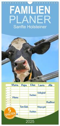 Familienplaner 2025 - Sanfte Holsteiner mit 5 Spalten (Wandkalender, 21 x 45 cm) CALVENDO