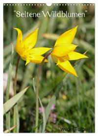 Seltene Wildblumen (Wandkalender 2026 DIN A3 hoch), CALVENDO Monatskalender