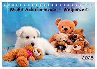 Weiße Schäferhunde - Welpenzeit (Tischkalender 2025 DIN A5 quer), CALVENDO Monatskalender