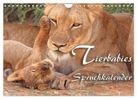 Tierbabies - Spruchkalender (Wandkalender 2025 DIN A4 quer), CALVENDO Monatskalender
