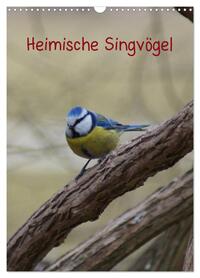 Heimische Singvögel (Wandkalender 2026 DIN A3 hoch), CALVENDO Monatskalender
