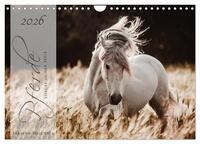 Pferde - Spiegel deiner Seele (Wandkalender 2026 DIN A4 quer), CALVENDO Monatskalender