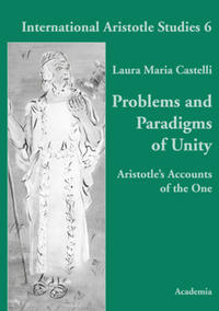 Problems and Paradigms of Unity