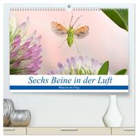 Sechs Beine in der Luft - Wanzen im Flug (hochwertiger Premium Wandkalender 2025 DIN A2 quer), Kunstdruck in Hochglanz