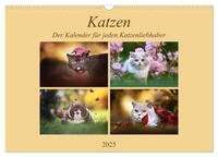 Katzen - Der Kalender für jeden Katzenliebhaber (Wandkalender 2025 DIN A3 quer), CALVENDO Monatskalender