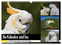 Die Kakadus sind los (Wandkalender 2026 DIN A3 quer), CALVENDO Monatskalender