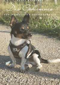 Das Geheimnis für hundliche Gelassenheit