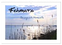 Fehmarn - Bewegende Momente (Wandkalender 2026 DIN A3 quer), CALVENDO Monatskalender