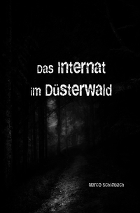 Vorderes Coverbild Das Internat im Düsterwald