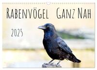 Rabenvögel - ganz nah (Wandkalender 2025 DIN A3 quer), CALVENDO Monatskalender