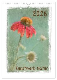 Kunstwerk Natur (Wandkalender 2026 DIN A4 hoch), CALVENDO Monatskalender