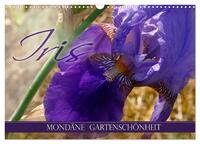 Iris - mondäne Gartenschönheit (Wandkalender 2026 DIN A3 quer), CALVENDO Monatskalender