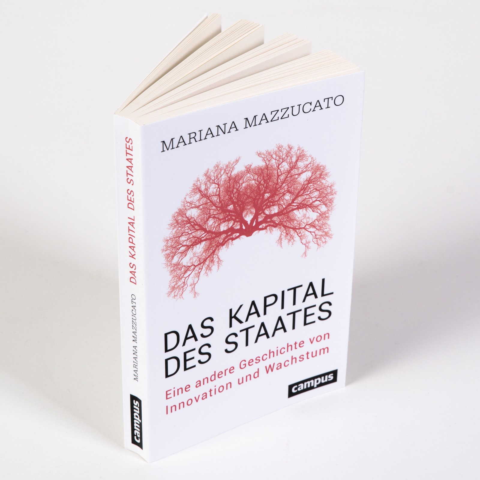 Das Kapital des Staates