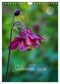 Gartenliebe (Wandkalender 2026 DIN A4 hoch), CALVENDO Monatskalender