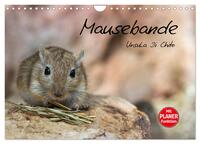 Mausebande (Wandkalender 2025 DIN A4 quer), CALVENDO Monatskalender