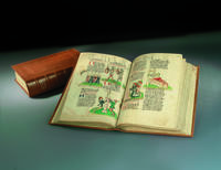 Die Vorauer Volksbibel
