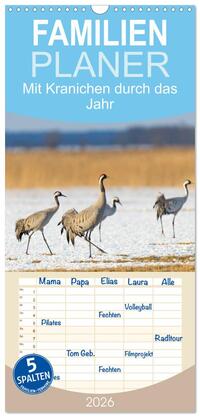 Familienplaner 2026 - Mit Kranichen durch das Jahr mit 5 Spalten (Wandkalender, 21 x 45 cm) CALVENDO