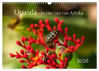 Uganda - im Herzen von Afrika (Wandkalender 2026 DIN A3 quer), CALVENDO Monatskalender