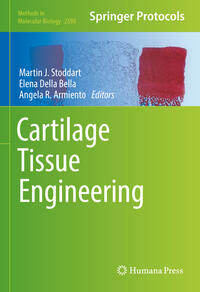 Cartilage Tissue Engineering