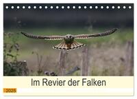 Im Revier der Falken (Tischkalender 2025 DIN A5 quer), CALVENDO Monatskalender