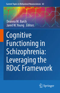 Cognitive Functioning in Schizophrenia: Leveraging the RDoC Framework