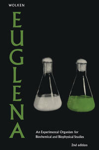 Euglena