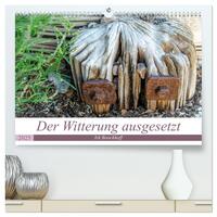 Der Witterung ausgesetzt (hochwertiger Premium Wandkalender 2025 DIN A2 quer), Kunstdruck in Hochglanz