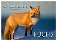 Fuchs - schlauer Räuber (Tischkalender 2026 DIN A5 quer), CALVENDO Monatskalender