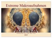Extreme Makroaufnahmen - Insekten so nah wie nie (Wandkalender 2025 DIN A3 quer), CALVENDO Monatskalender