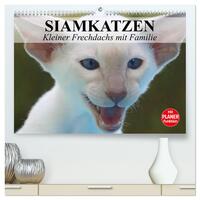 Siamkatzen - Kleiner Frechdachs mit Familie (hochwertiger Premium Wandkalender 2025 DIN A2 quer), Kunstdruck in Hochglanz