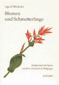 Blumen und Schmetterlinge