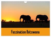 Faszination Botswana (Wandkalender 2025 DIN A4 quer), CALVENDO Monatskalender