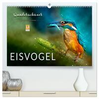 Wunderschöner Eisvogel (hochwertiger Premium Wandkalender 2026 DIN A2 quer), Kunstdruck in Hochglanz